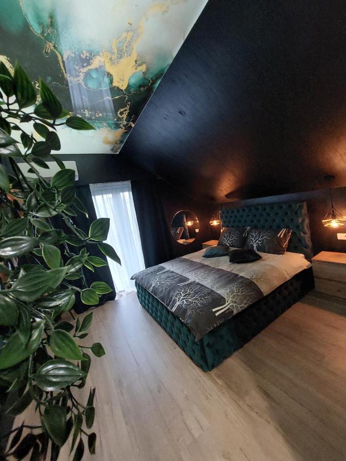 Stars Lux Room بلغراد الغرفة الصورة