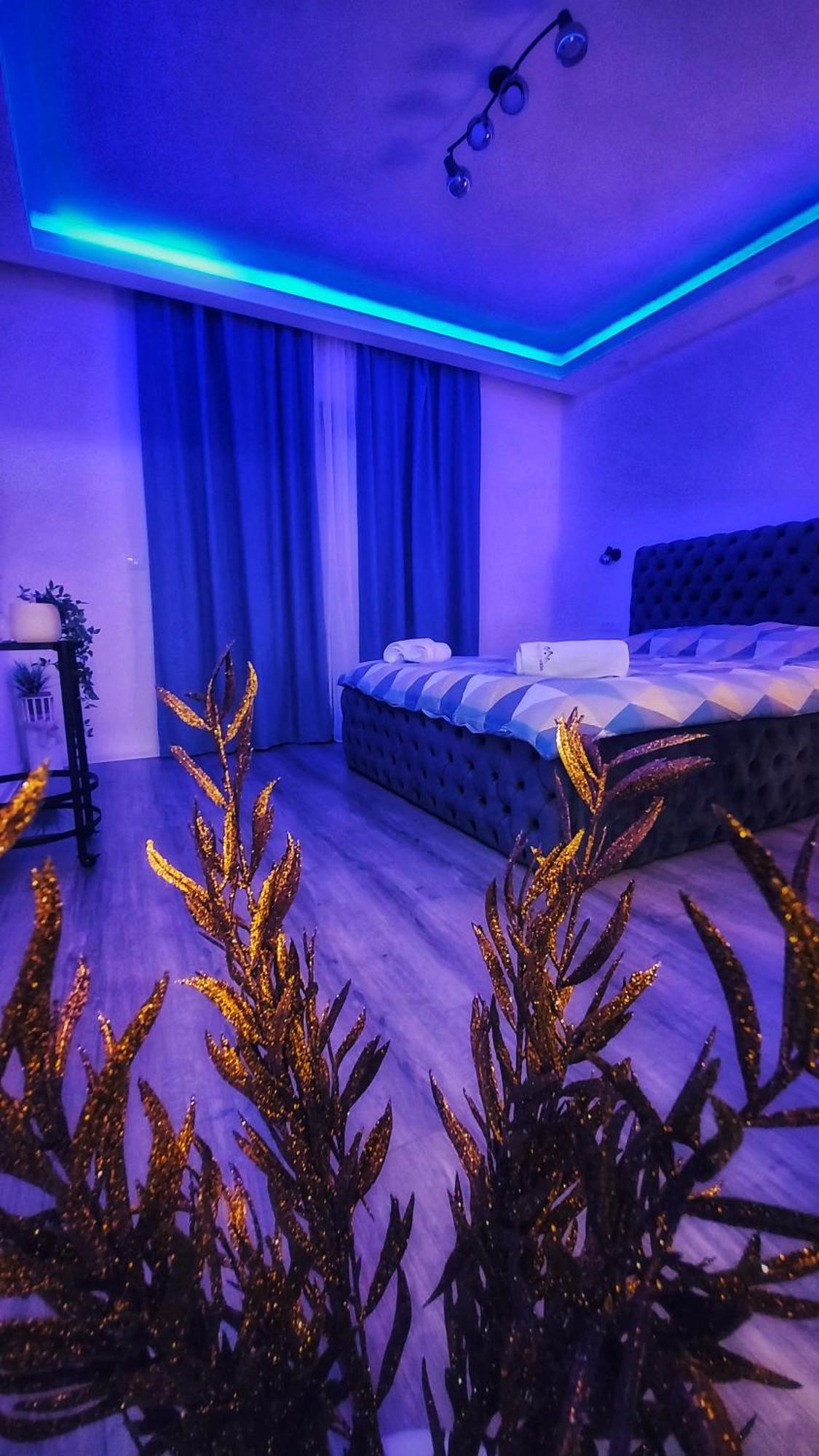 Stars Lux Room بلغراد الغرفة الصورة