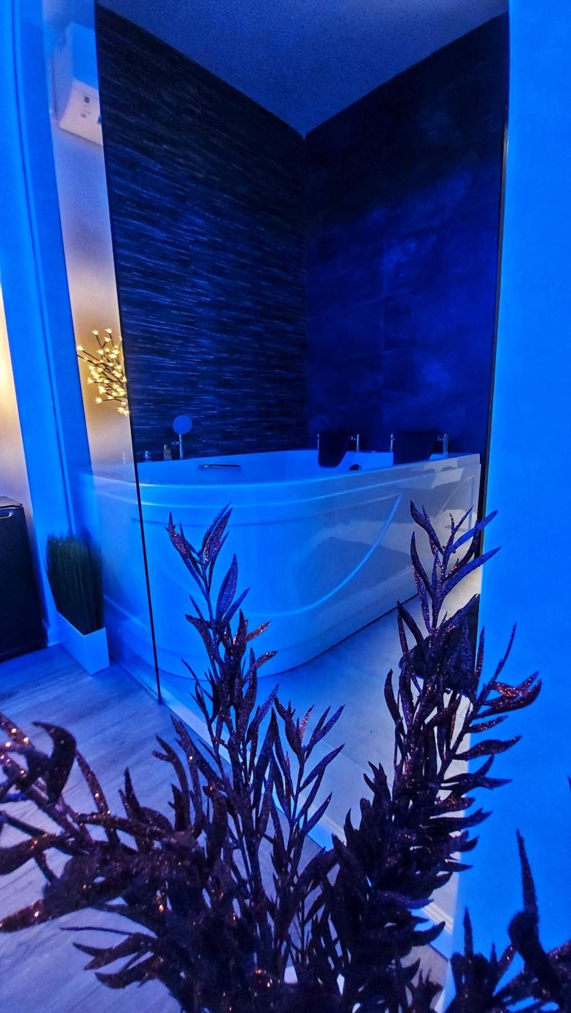 Stars Lux Room بلغراد الغرفة الصورة