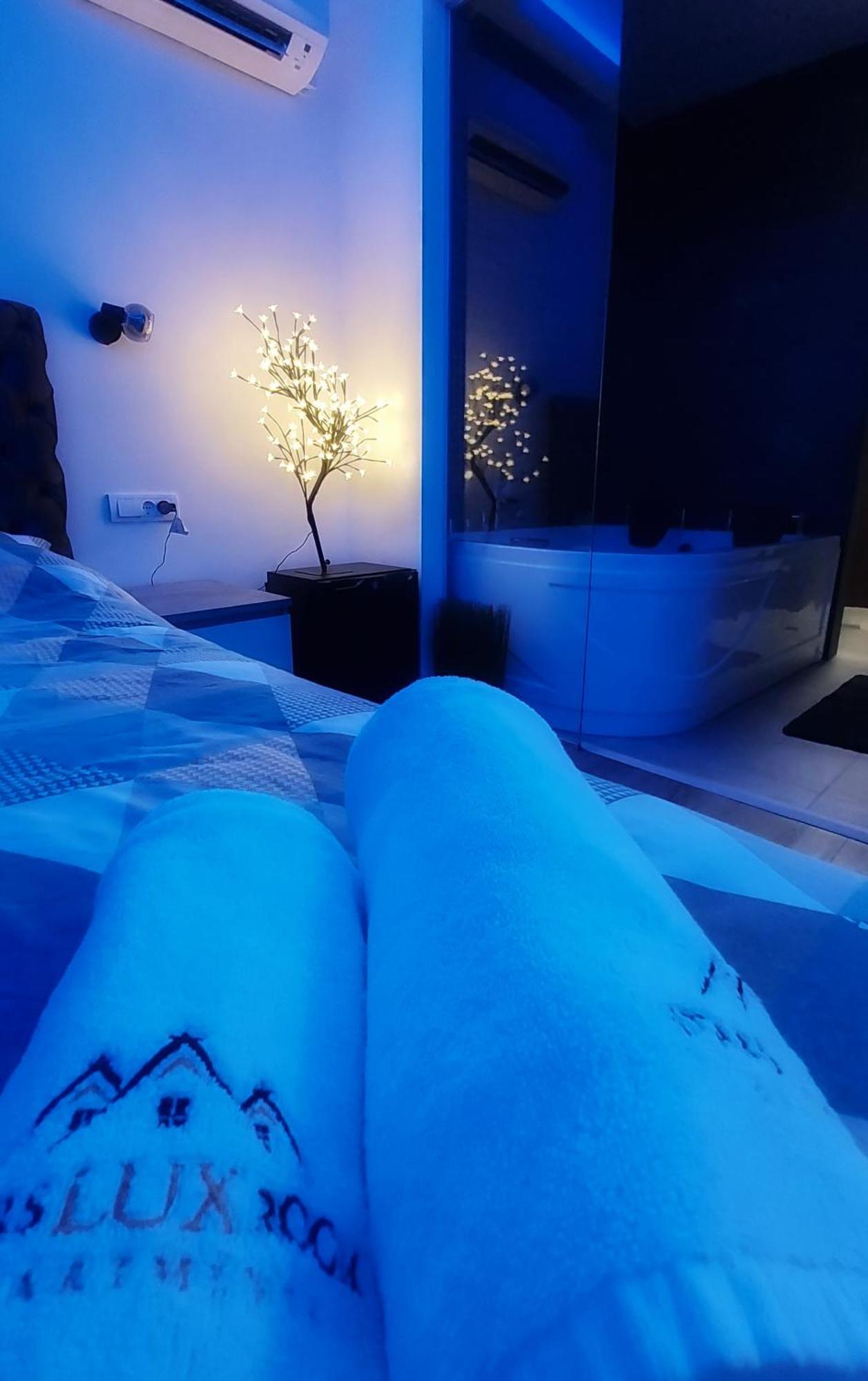 Stars Lux Room بلغراد الغرفة الصورة